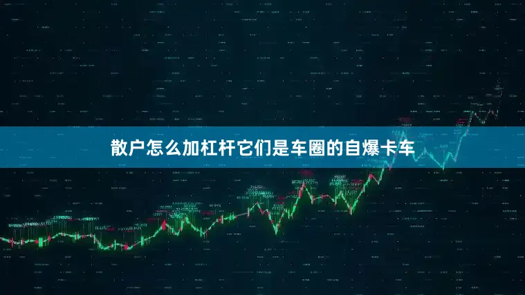 散户怎么加杠杆它们是车圈的自爆卡车